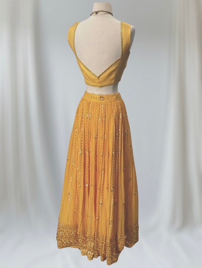 Pyaari (yellow)-Rental